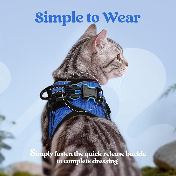 rabbitgoo Cat Harness and Leash, Step-in Escape Proof Kitten Harness Set, Soft Comfortable Cat Vest, Easy to Wear and Adjust, Reflective for Safe Outdoor Walking, Blue, Large