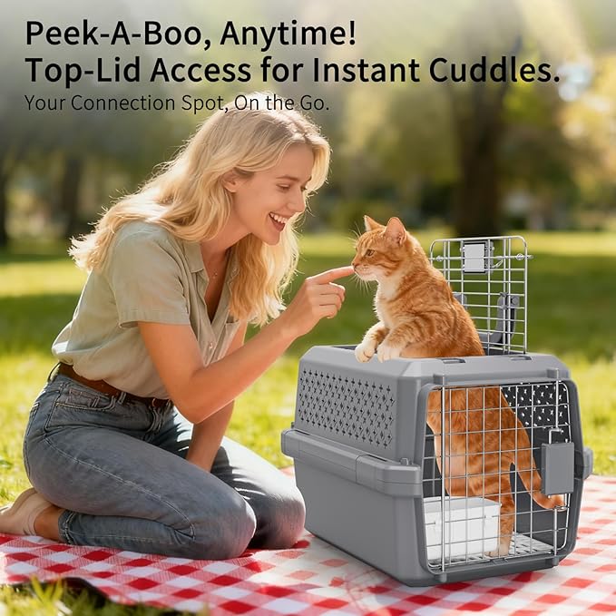 RIZZARI Grey Small Hard Sided Pet Carrier, Portable Ventilated Travel Crate with Metal Door and Handle for Small Dogs and Cats, Perfect for Car Rides, Vet Visits and Daily Use