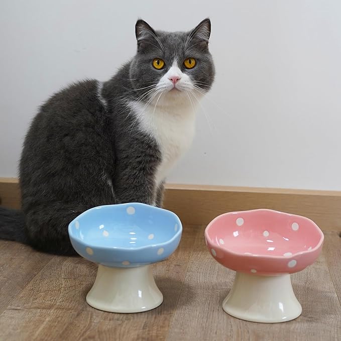 Mushroom Shaped Ceramic Elevated Cat Bowl, Tilted Whisker Friendly Feeding Dish for Indoor Cats, Wide Raised Pet Bowl, Dishwasher Safe (Pink)