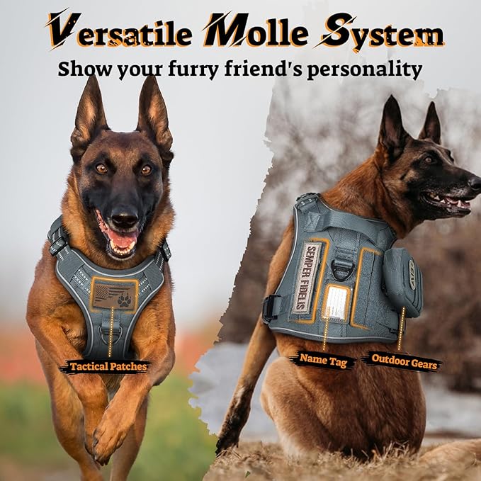 rabbitgoo Tactical Dog Harness for Small Dogs No Pull Adjustable Military Vest with Handle MOLLE Reflective Heavy Duty Dog Vest for Walking Training Hunting Outdoor Working Medium Size Dog Grey S