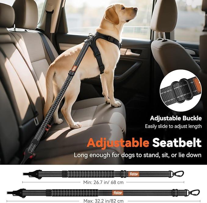 2Pcs Dog Seat Belt, Dog Car Seat Belt Bungee, Car Harness for Pet with Buckle & Hook Latch, Safety Leash Vehicle, Adjustable Reflective Pet Vehicle Tether, 360° Swivel Lock Clasp, Black