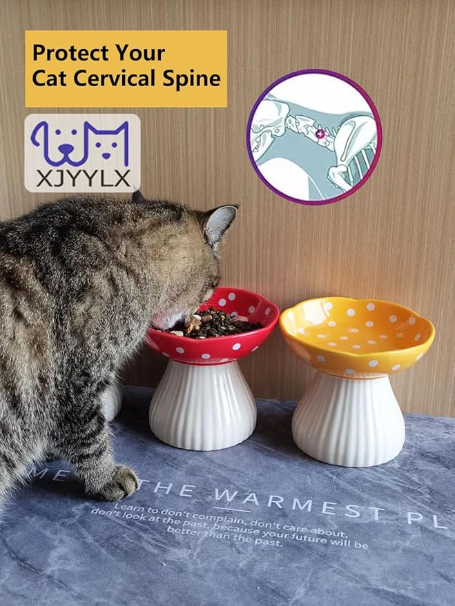Mushroom Elevated Cat Bowls Ceramic 2 Pack, Raised Cat Bowl for Indoor Cats, Cute Cat Bowls Whisker Fatigue, Raised Dog Bowls Stand for Food and Water, Red+Yellow 6" Wide for Adult Cats