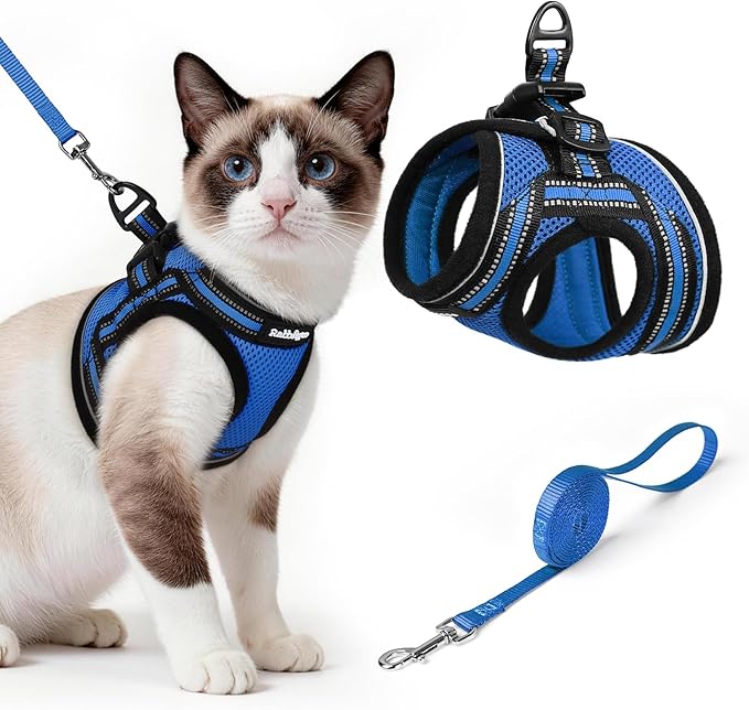 rabbitgoo Cat Harness and Leash, Step-in Escape Proof Kitten Harness Set, Soft Comfortable Cat Vest, Easy to Wear and Adjust, Reflective for Safe Outdoor Walking, Blue, Large