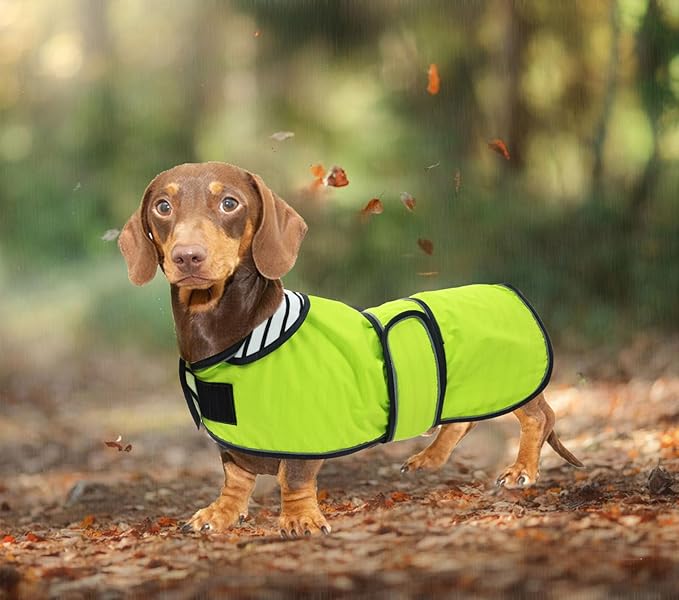 Dachshund Raincoat Corgi Raincoat Dogs Waterproof fit for Dachshunds Weiner Long Back Breeds with Reflective Stripe Great Coverage in Autumn Winter Light Green M