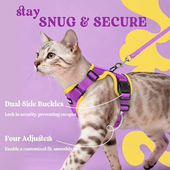 rabbitgoo Cat Harness and Leash Set, Escape Proof Kitten Harness for Safe Outdoor Walks, Soft Breathable Adjustable Vest with Reflective Strips for Kittens and Extra Small Cats, Purple & Yellow, XXS