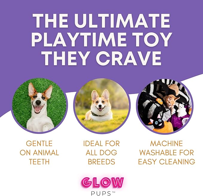 Glow Pups Halloween Hide and Seek Dog Toys, Crinkle Jack O Lantern with 4 Plush Squeak Toys, Durable Rope Handle, Interactive, Orange Halloween Pumpkin