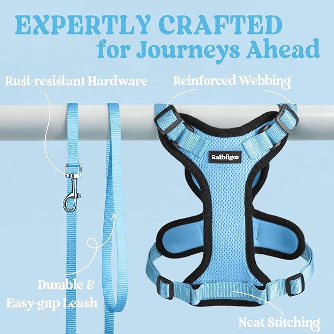 rabbitgoo Cat Harness and Leash Set, Escape Proof Kitten Harness for Safe Outdoor Walks, Soft Breathable Adjustable Vest with Reflective Strips for Kittens and Extra Small Cats, Light Blue, XXS