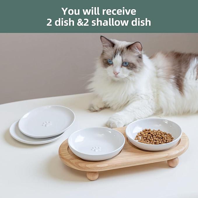 Havniva Cat Bowls Elevated 5.6” Ceramic Cat Bowl with Stand Whisker Friendly Shallow Cat Dishes, Cat Food & Water Bowl Set with Two Heights Options, Anti-Slip Raised Cat Food Bowl for Kitten