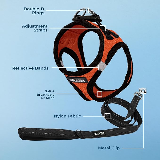 Best Pet Supplies Voyager Step-in Air All Weather Mesh Harness and Reflective Dog 5ft Leash Combo with Neoprene Handle, for Small, Medium and Large Breed Puppies - Set (Orange/Black Trim), Small