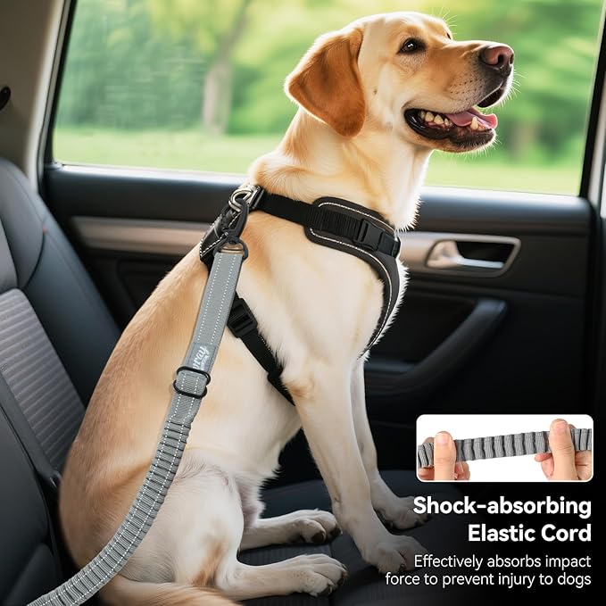 Dog Seat Belt, Dog Car Seat Belt Bungee, Car Harness for Pet with Buckle & Hook Latch, Safety Leash Vehicle, Adjustable Reflective Pet Vehicle Tether, 360° Swivel Lock Clasp, Gray