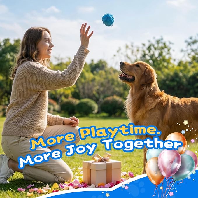 lilfrd Squeaky Dog Chew Toys, Spiky Bouncy Rubber Dog Toy Balls, Plush Toy for Small Medium Dogs, Teeth Cleaning