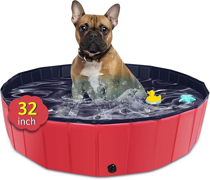 CACSPS Foldable Dog Pool, 32" x 8" Kiddie Pool with Hard Plastic, Non-Slip Dog Bath Tub for Outdoor Backyard, Collapsible Dog Swimming Pool for Kids Dogs Pets (Red)