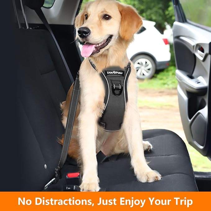 VavoPaw Dog Seat Belt Harness for Car, Adjustable Dog Car Harness Mesh Breathable & Dogs Seatbelt Safety Tether with Elastic Bungee for Small Medium Large Dogs (Carbon Black, M)