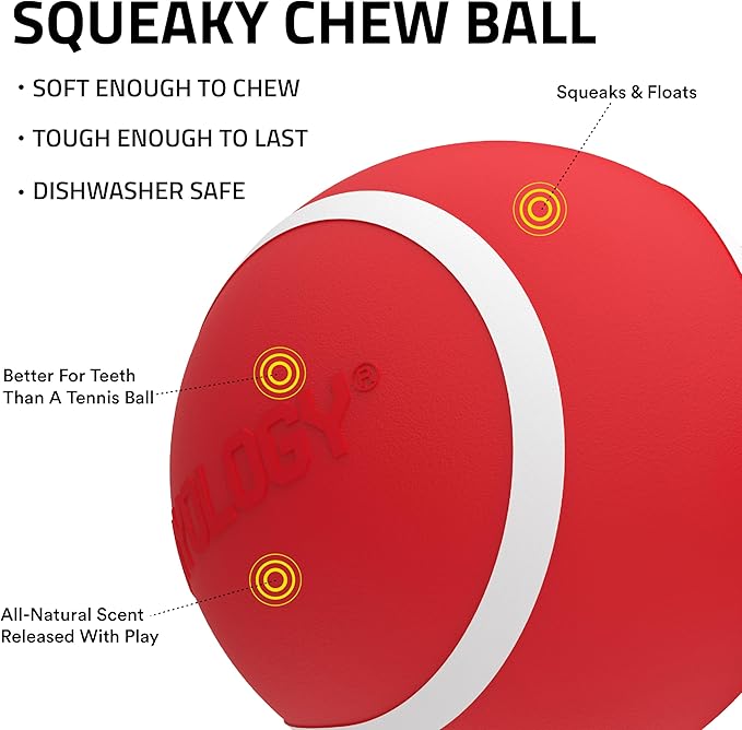 Playology Dog Toys | Squeaky Chew Ball for Dogs | Beef Scented Medium Dog Ball | Bouncy Floating Chew Toys for Fetch
