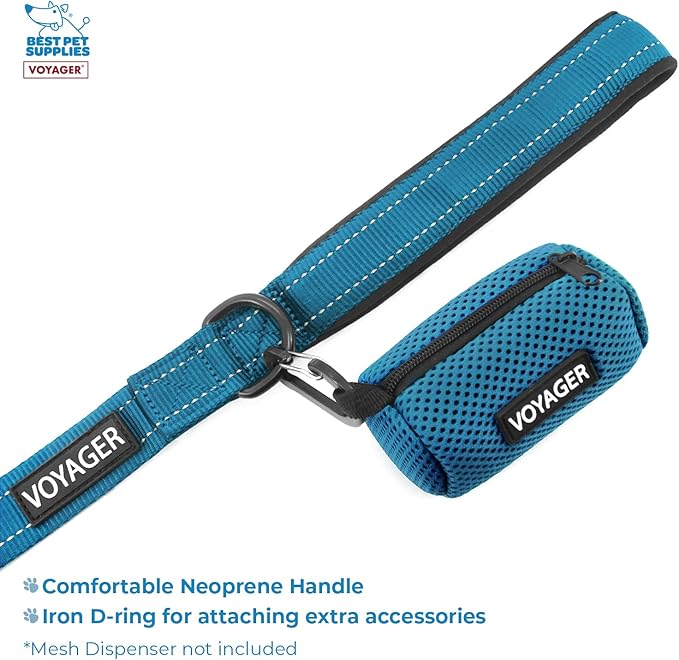 Best Pet Supplies Voyager Step-in Lock Pet Harness w Reflective Pet Leash Combo Set with Neoprene Handle 5ft - Supports Small, Medium and Large Breed Puppies/Cats - Turquoise Set, XXS