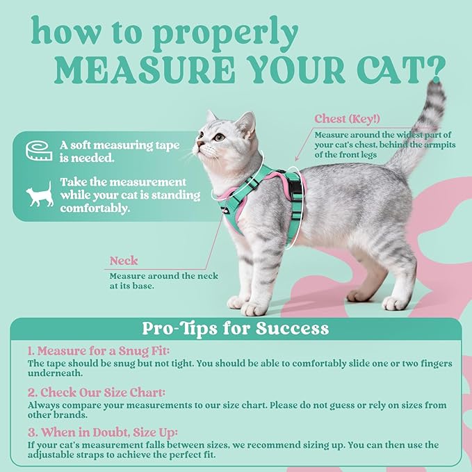 rabbitgoo Cat Harness and Leash Set, Escape Proof Vest Harness for Safe Outdoor Walks, Soft Breathable Adjustable Vest with Reflective Strips for Average to Large Cats, Green & Pink, M