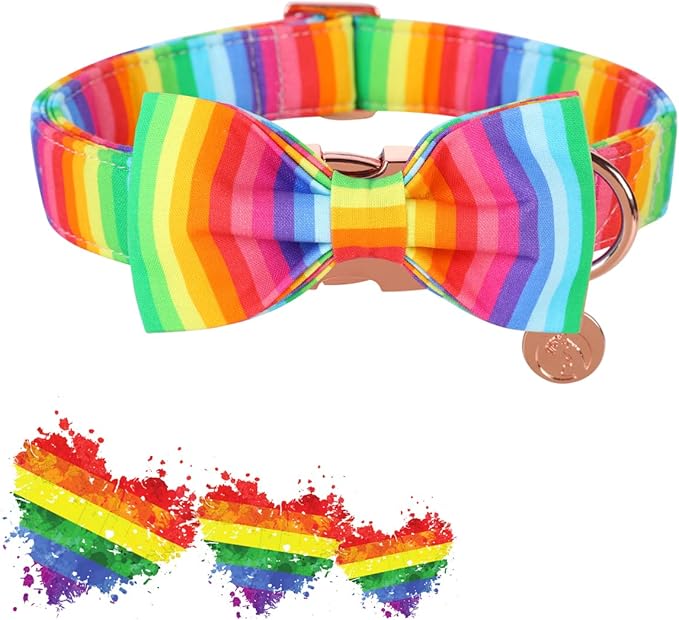 DOGWONG Rainbow Dog Collar with Pretty Bow Tie for LGBT Pride Month - Adjustable and Comfortable Collar for Large Medium Small Dog,M