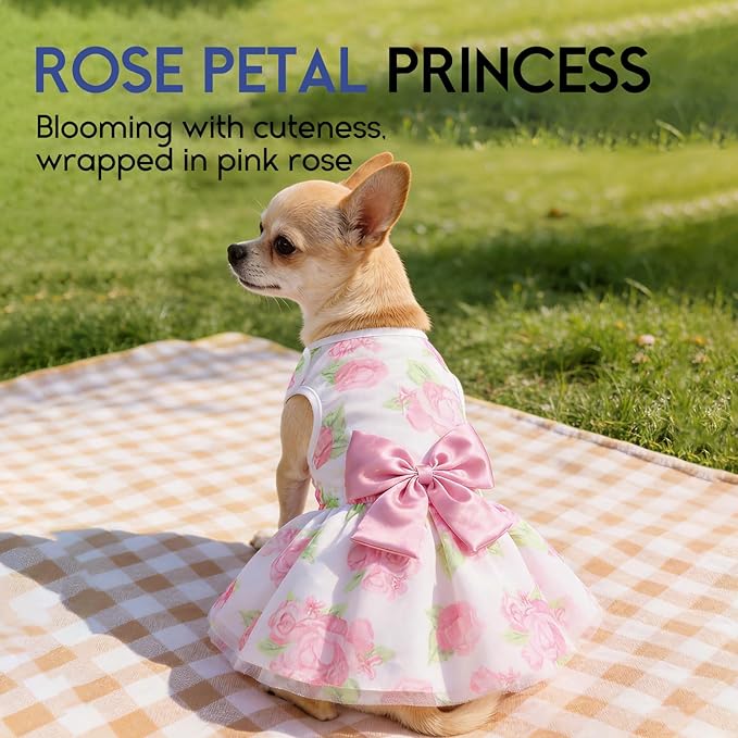 ASENKU Dog Dress Pet Wedding Dress Princess Lace Puppy Birthday Party Outfit Formal Apparel Girl for Small Medium Dogs Cats (XX-Small, Rose)