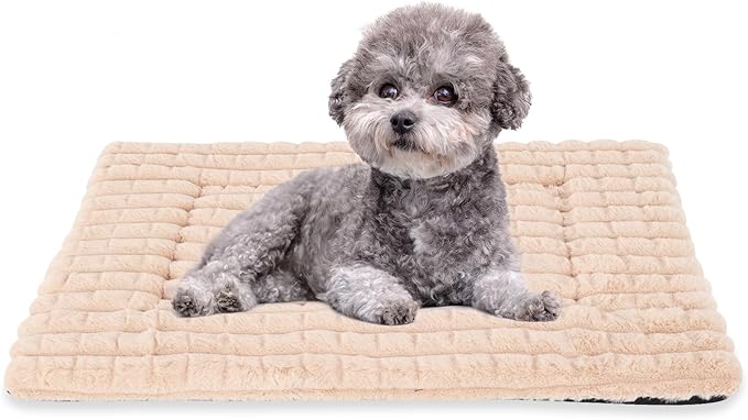 BVAGSS Dog Bed Washable Crate Mattress,Anti-Slip Memory Foam Soft Warm Pet Cushion for Small Medium Dogs, Calming Fluffy Sleeping Kennel Pad XH082 (24''x18'',Apricot)