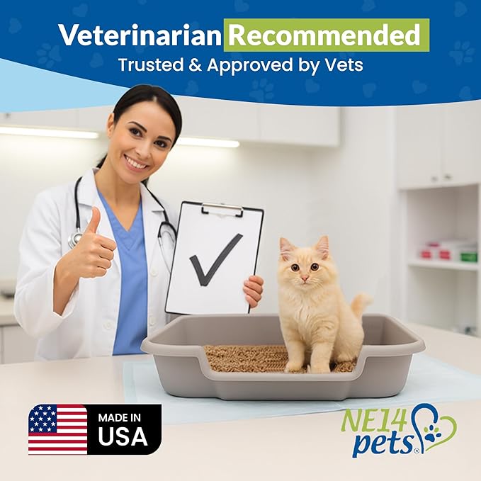 KittyGoHere Senior Cat Litter Box 1 Pack, Large Misty Gray Low Entrance Kitty Litter Box, Sized for Cats Comfort, Perfect for Senior and Arthritic Cats, Made in USA