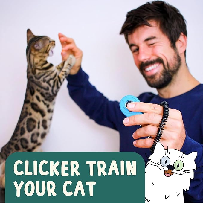 OutdoorBengal The Click Crusade Cat Clicker Training Card Game for Pet Training with Clicker - Train Cats to do Tricks, Improve Communication and Bond with Your Cat (Clicker Trainer not Included)