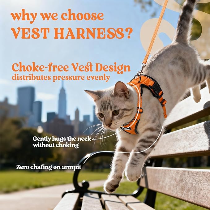 rabbitgoo Cat Harness and Leash Set, Escape Proof Vest Harness for Safe Outdoor Walks, Soft Breathable Adjustable Vest with Reflective Strips for Average to Large Cats, Orange, M