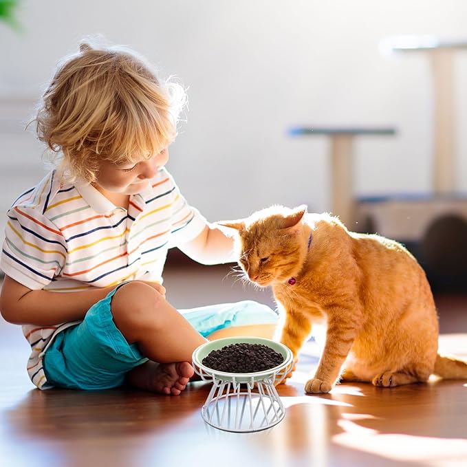Hushee 6 Pcs Raised Cat Bowls Elevated Ceramic Cat Food Bowls with Metal Stand Anti Vomit Feeding Dishwasher Safe Shallow Ceramic Water Food Plate for Kitten Small Dogs