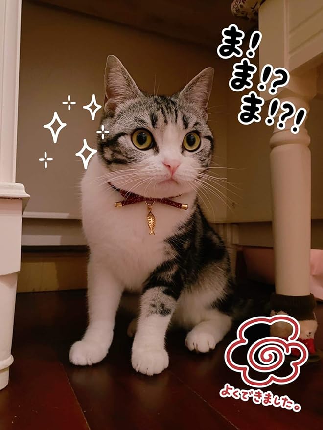 Cute Bowtie Cat Collar with Bell. Japanese Stylish Bowknot & Fish Charm. Safety Breakaway, Soft, Lightweight, for Girl Boy Male Female Cats Kitten,Red