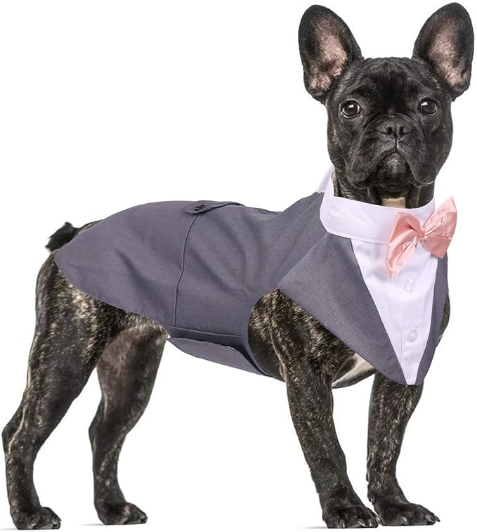 QBLEEV Dog Tuxedo Suit with Bow Tie, Formal Gentleman Dog Tux Costume and Bandana Set for Wedding Outfit Birthday Party Cosplay Photo Shoot, Doggy Prince Attire for Maltese Dachshund Corgi Beagle