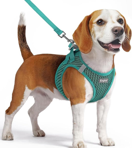 Eagloo Small Dog Harness and Leash Set, Step in Puppy Vest with Breathable Soft Mesh, Walking Reflective Pet Harness for Small Dogs, Forest Green, M
