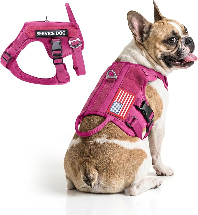 FAYOGOO Tactical Dog Harness for Small and Medium Breed - Mesh Breathable Dog Harness Escape Proof with Handle - No Pull Military Service Dog Vest with Removable Patches for Walking,Training,Hiking