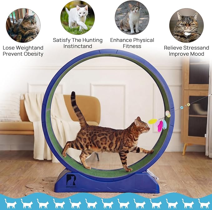 Cat Exercise Wheel, 39.4 Inch Indoor Treadmill for Cats with Carpeted Runway, Screw-Fixed Assembly for Easy Setup, Silent & Safe Fitness Equipment for Most Cats