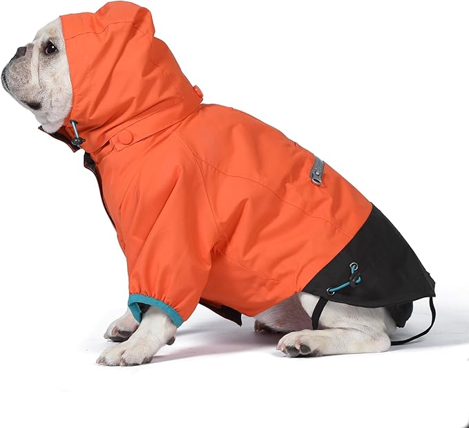 Orvis Dog All Season Trekker 3-in-1 Coat for Dogs, Size Medium; Orange High Visibility All Weather Dog Coat with Raincoat & Fleece Vest that Can Be Worn Separately or Together; Removable Hood
