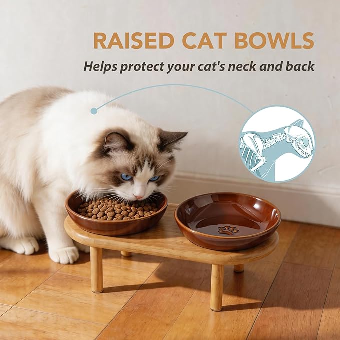 Havniva Elevated Cat Bowls Raised Ceramic Cat Bowl, 5.9” Wide Opening Cat Food Bowl Whisker Friendly Cat Dish Anti-Slip with Bamboo Stand, Shallow Pet Food & Water Bowl for Indoor Cats