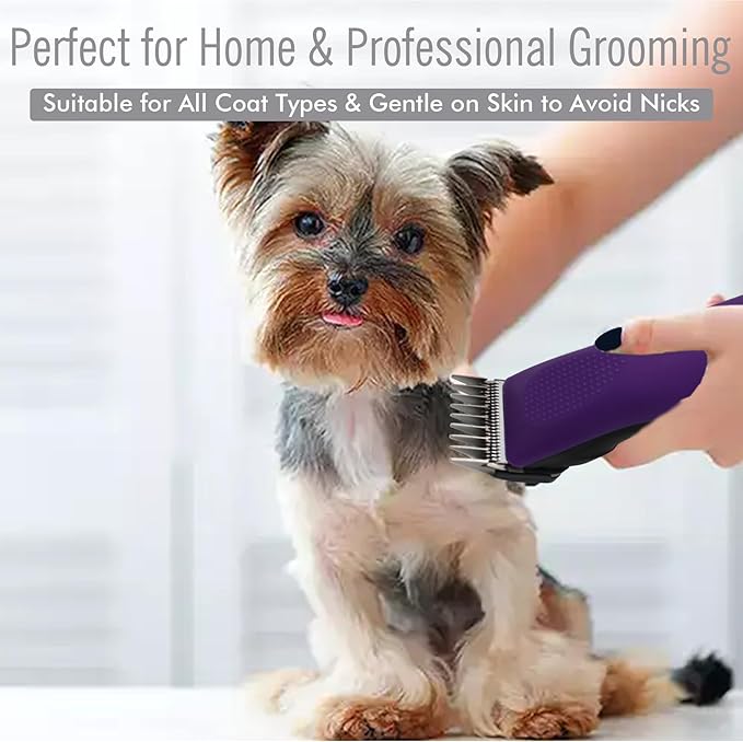 Professional A5-Style Animal Clipper Stainless Steel Color-Coded Snap-on Attachment Guard Guide Comb, 1/8"-1" Compatible with Wahl KM Series Oster A5 Andis Detachable Blade Pet Dog Groomers (#2-1/4")