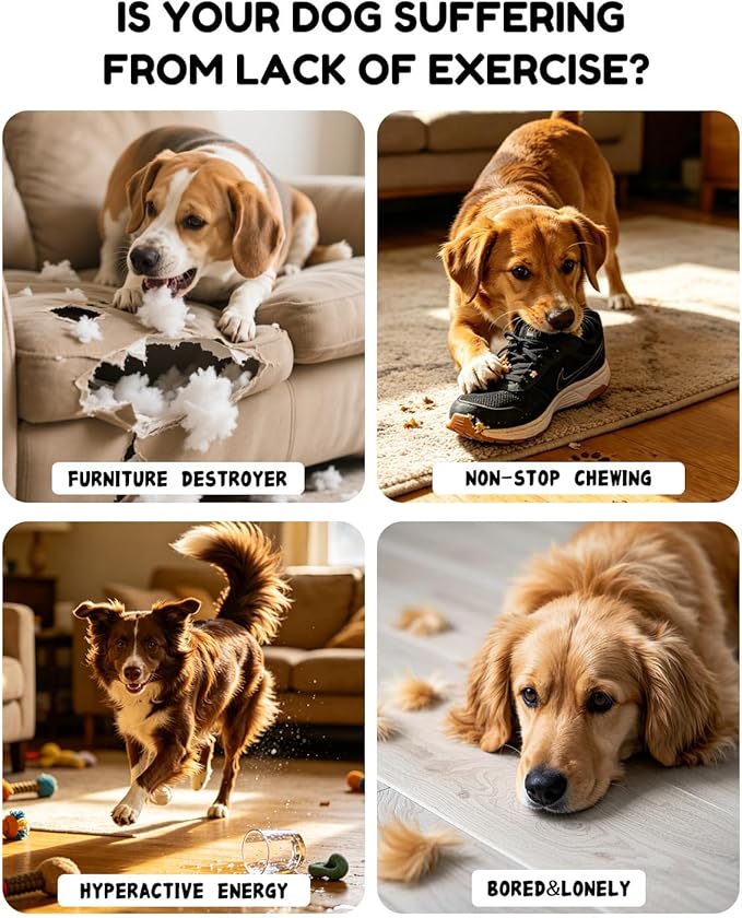 BurgeonNest Flirt Pole for Dogs, Interactive Dog Toy for Medium Small Dogs, with Replaceable Yellow Duck Toy & 2 Rope Toys, Dog Exercise Pole for Outdoor Training & Chase