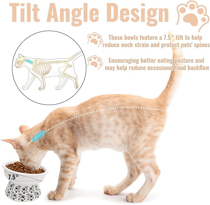 2 Pack Ceramic Elevated Cat Bowls, 6" Extra Wide Tilted Raised Pet Dish, Whisker Friendly Food and Water Bowl for Small Dogs, Anti Vomiting & Protect Pet's Spine, Microwave Dishwasher Safe