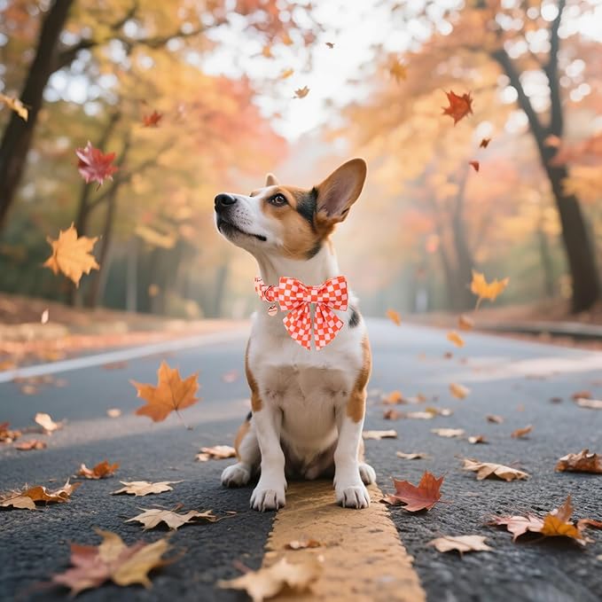 DOGWONG Orange Pink Plaid Dog Collar with Bow - Adjustable and Comfortable Autumn Dog Collar Fall Necklace for Large Medium Small Pet,XS