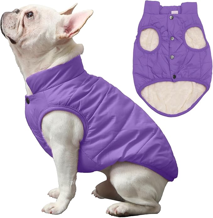 JoyDaog 2 Layers Fleece Lined Warm Dog Jacket for Puppy Winter Cold Weather,Soft Windproof Small Dog Coat,Purple M