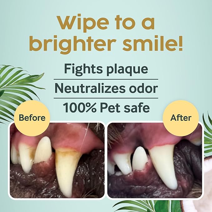 Cocopup Dog Teeth Cleaning Wipes | Pet Dental Finger Wipes | Dogs and Cats Tooth Cleaning Pads Plaque Remover Ear Nose Paws Fur Cleaners | Contains Coconut Oil | 2 Pack of 50