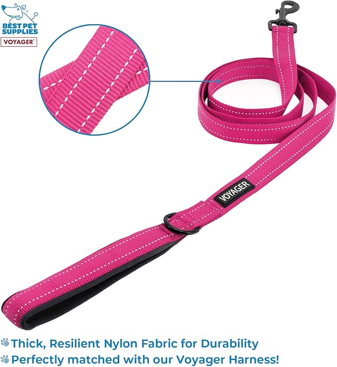 Best Pet Supplies Voyager Step-in Lock Pet Harness w Reflective Pet Leash Combo Set with Neoprene Handle 5ft - Supports Small, Medium and Large Breed Puppies/Cats - Fuchsia Set, XXXS