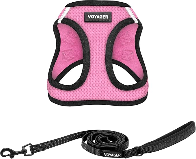 Best Pet Supplies Voyager Step-in Air All Weather Mesh Harness and Reflective Dog 5ft Leash Combo with Neoprene Handle, for Small, Medium and Large Breed Puppies - Set (Pink/Black Trim), XX-Small