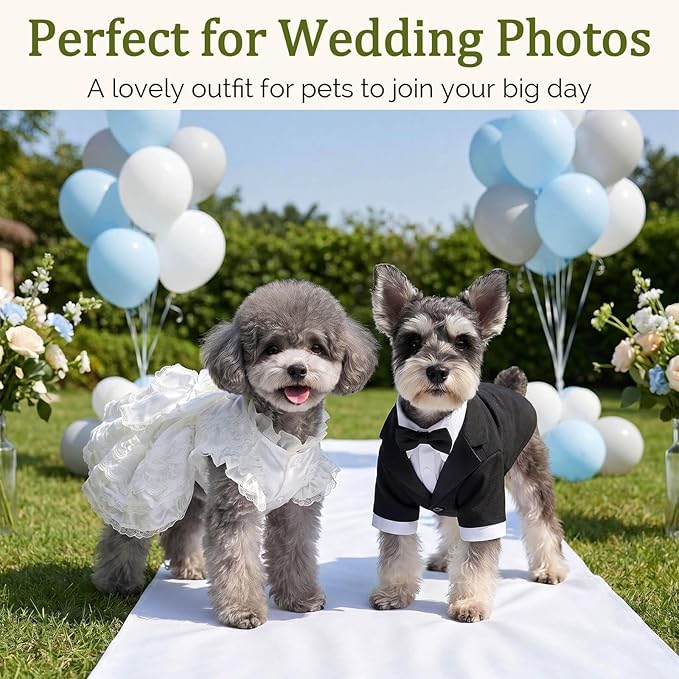 Dog Wedding Dress with Veil, Princess Lace Dog Dress with Bow, Fluffy Bridal Outfit for Small Dogs, Puppy Formal Dress for Wedding Birthday Photoshoot (S)
