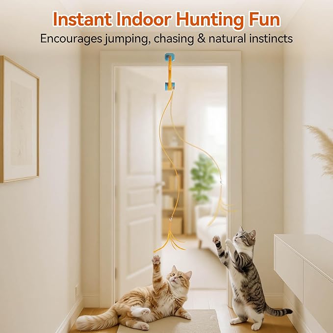 ALL FOR PAWS Interactive Cat Toy for Indoor Cats, Automatic Door Hanging Toy with Moving Feather, USB Rechargeable Cat Toys for Bored Adult Cats & Kittens, Electric Cat Toy for Enrichment & Exercise