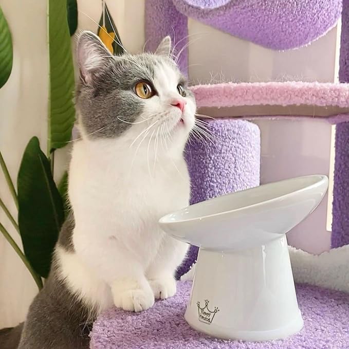 Necoichi Elevated Cat Food Bowl, Ceramic (Porcelain),15° Tilted, Whisker-Friendly, Dishwasher, Microwave Safe, Non-Slip, Anti-Vomiting, Neck Fatigue (Extra Wide Tilted, 1.5-Cup Capacity)