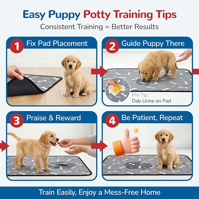 BAEJMJK Washable Dog Pee Pads 4-Layer Super Absorbent Puppy Training Pads Waterproof Non-Slip Leak-Proof Reusable Mats for Potty, Crate, Playpen & Travel(20"x28",Coffee & Gray 2-Pack)