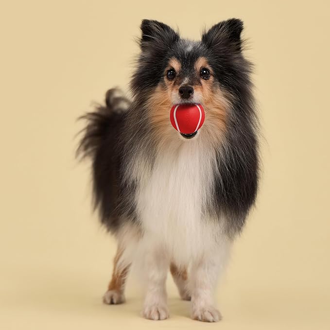 Playology Dog Toys | Squeaky Chew Ball for Dogs, Value 3-Pack | Beef Scented Small Dog Balls | Bouncy Floating Chew Toys for Fetch