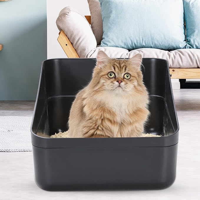 Sfozstra Black Open Top Cat Litter Box - Medium, High Sides & Leak-Proof, Easy-Clean Litter Pan, Odor-Reducing, Durable ABS, for Home Cats Up to 13 lbs
