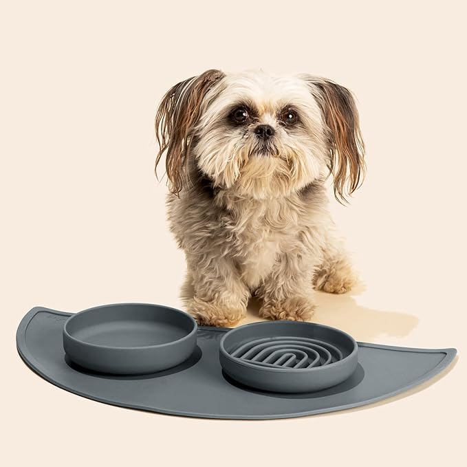 Should We Go? Slow Feeder for Dogs & Cats, The Slowdown Bowl Silicone Slow Eating Mealtime Solution with Modern Lick Mat Design, Reduces Gulping, Fits 1 Cup, 6” Across x 1.25” Tall, Small-Charcoal