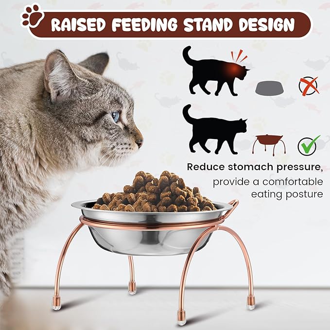 6 Sets Stainless Steel Elevated Cat Bowls 5.5 Inch Wide Raised Cat Bowls with Metal Stand Stress Free Elevated Shallow Water Dish Indoor Kitten Feeding Dish to Prevent Fatigue, 12 oz